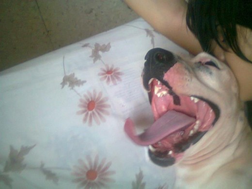 jjajajajjaj intentandooo dormir